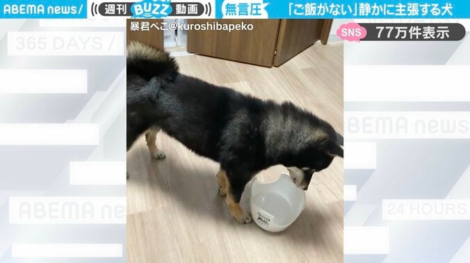 柴犬の「ぺこちゃん」