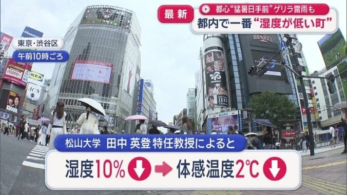 松山大学の田中英登特任教授によると