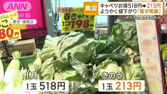 1玉518円だったキャベツが213円に