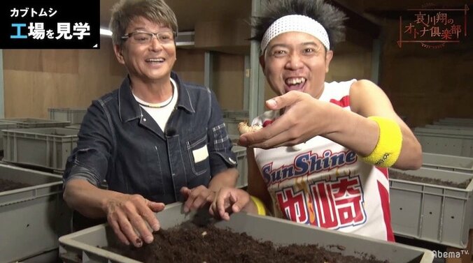 カブトムシ育成歴20年！哀川翔が語る、カブトムシ愛 2枚目