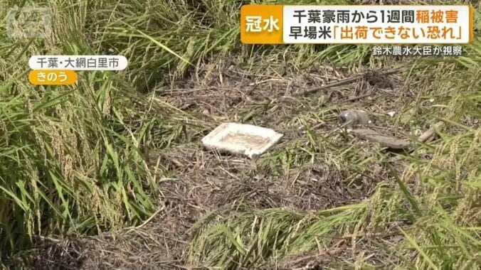 流れ込んだごみ
