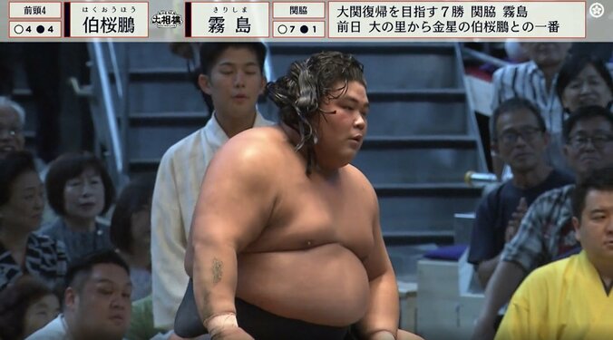 大銀杏が解けた伯桜鵬