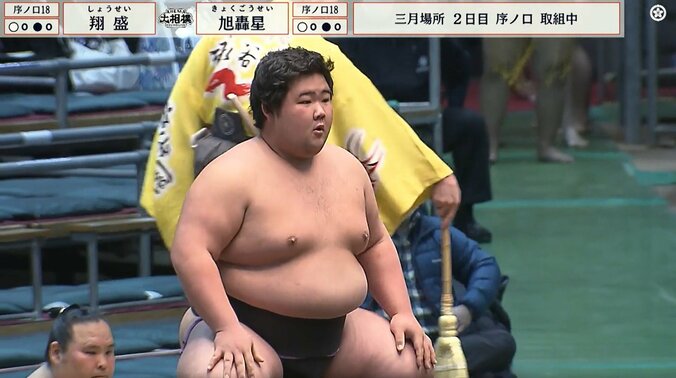 「なんだこのカワイイ生き物」18歳新人力士、“癒し全開”キャラに引き込まれるファン続出「可愛過ぎやしませんか？」 3枚目