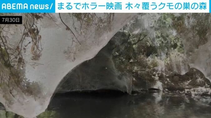 エルサレム近郊のソレク川