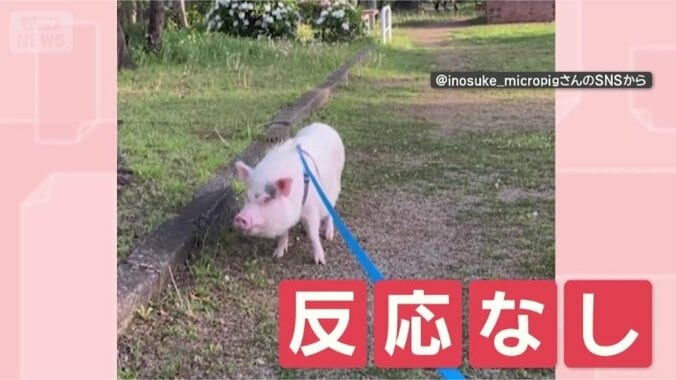呼ばれても動きませんよ