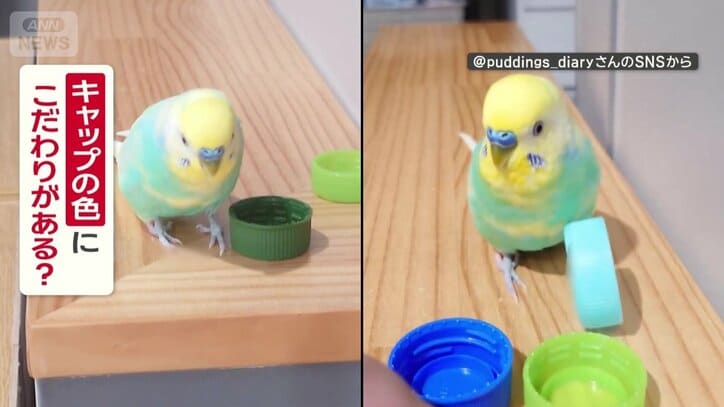 色にこだわりがある？