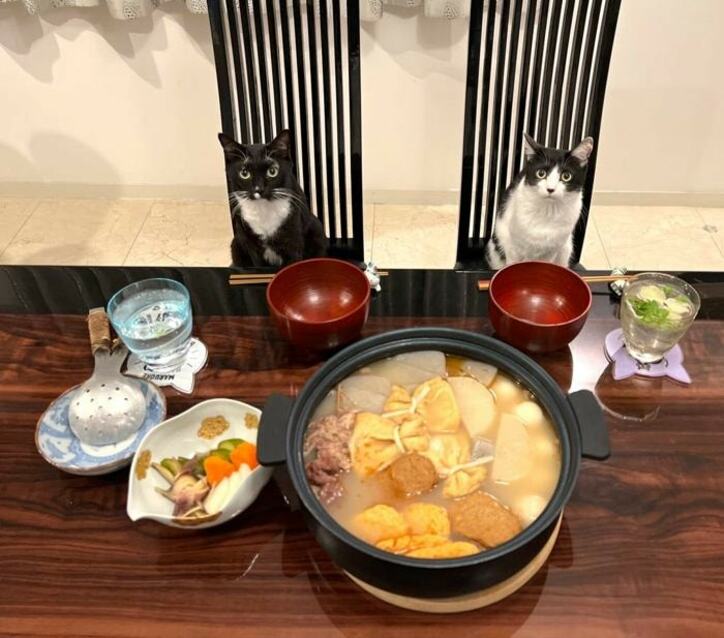  藤あや子、3日間煮込んだ手料理を公開「牛すじがトロトロだぁ」 