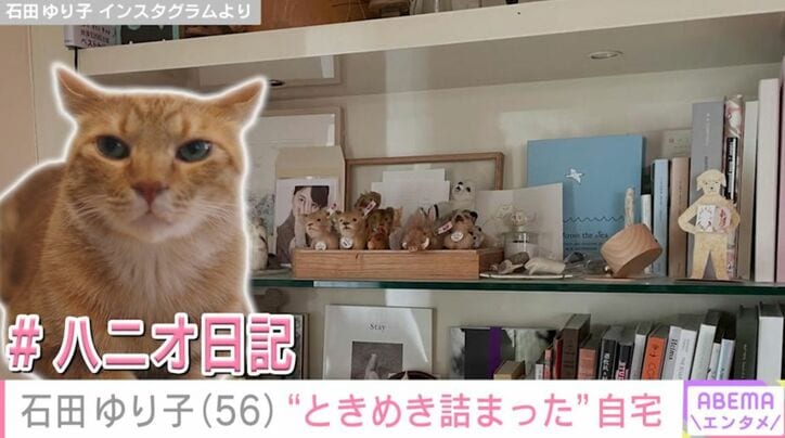 #ハニオ日記