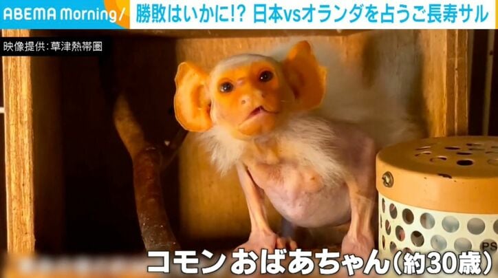 コモン