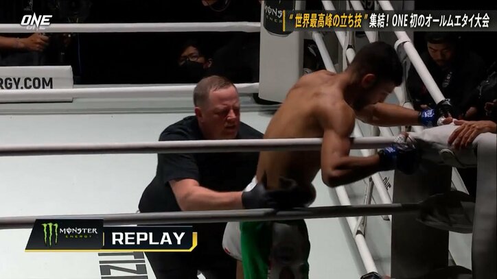 【写真・画像】　2枚目