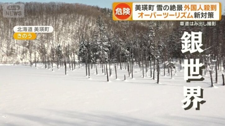 「青い池」も一面銀世界