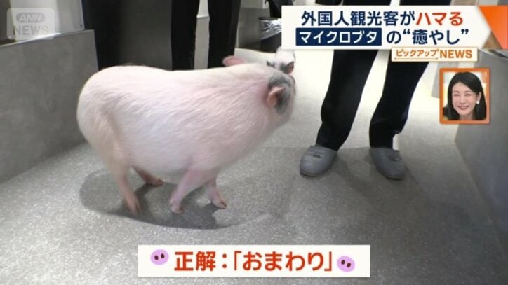 正解は「おまわり」