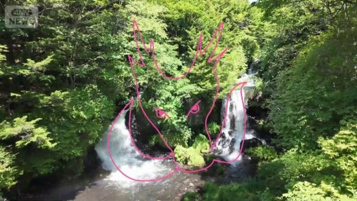 左右に流れる滝を竜のヒゲに見立てているそう