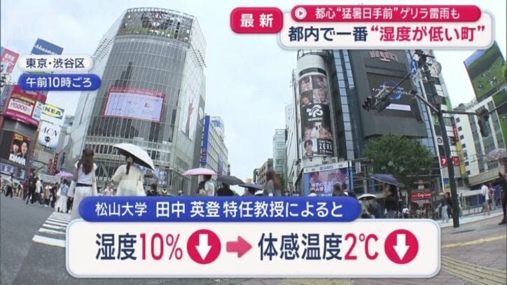 松山大学の田中英登特任教授によると