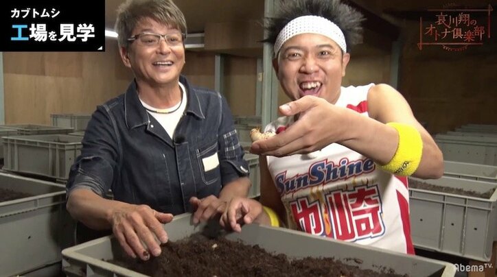 カブトムシ育成歴20年！哀川翔が語る、カブトムシ愛