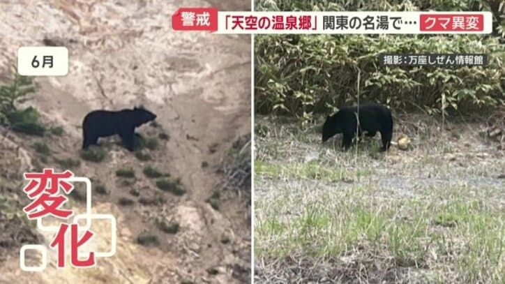 万座温泉付近で出没するクマ