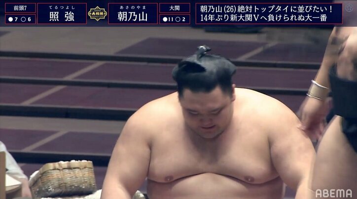 照強、鮮やかな援護射撃 “足取り”で朝乃山を下す 照ノ富士は2敗目を喫するも単独トップで千秋楽へ