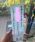  市川海老蔵、素晴らしいと感じた子ども達の短冊の願い事「素敵ですね」「心打たれました」の声 