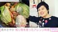 おしゃれな自宅が話題 青木さやか、残り物を使ったアレンジ料理披露「おしゃれな食べ物に変化しましたね」と反響