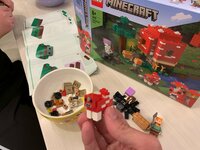 杉浦太陽『Minecraftでもキノコ』