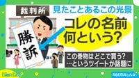 ABEMAヒルズ【平日ひる12時~生放送】 - PicPoP - 裁判所の前で見るアレの名前が意外! | 【ABEMAビデオ】見逃した番組や話題のニュースが無料で視聴可能