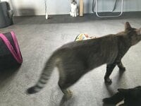 坂上忍『誰？』