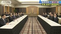 政治ニュース - ひとり親世帯の税の控除を巡り調整難航 | 動画視聴は【Abemaビデオ(AbemaTV)】