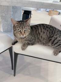 アレクサンダー『今日ものんびりしてます』