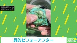 夜光貝の“虹色のビフォアフター”に「めちゃめちゃキレイ」「やってみたくてワクワク」と感嘆の声