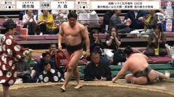 “俳優顔”のイケメン力士、“背筋力265キロ”で巨漢をぶん投げた！「これはお金を取れる相撲」「ヤバすぎる勝ち方がカッコいい」勝ちっぷりに騒然