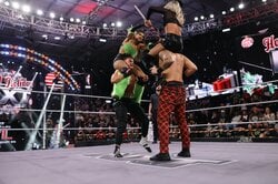 クリスマス小道具が凶器に…海外プロレス“男女混合カオス・デスマッチ”がツッコミどころ満載の展開に