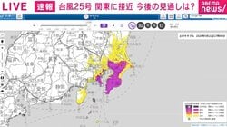 【台風25号】「千葉がレベル4の紫一色に…」すでに記録的雨量、さらに関東南部で200ミリ予想 気象予報士が解説