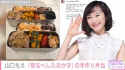 山口もえ、4食分の手作り弁当を披露 「夜なべしたおかずたちが大活躍でした」