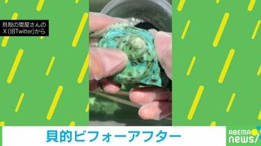 夜光貝の“虹色のビフォアフター”に「めちゃめちゃキレイ」「やってみ