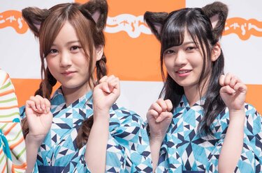 西野七瀬、猫との共演に「いっしょに寝たくなりました」 乃木坂