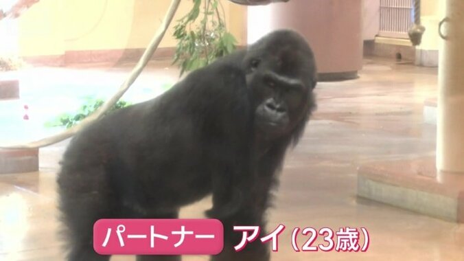アイ