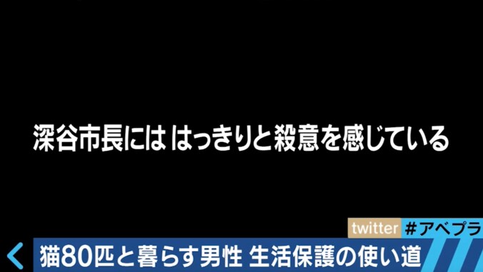 支援者からの猫の餌代も”収入”なのか？　生活保護の受給資格をめぐる議論 2枚目