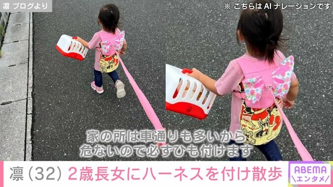 ハーネスをつけて散歩をする寿々ちゃん