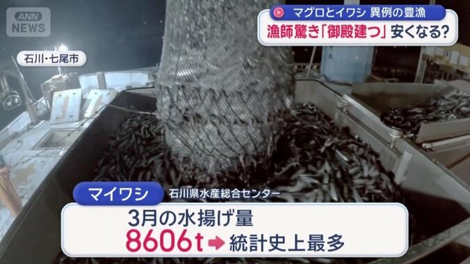 3月の水揚げ量は統計開始以来最多