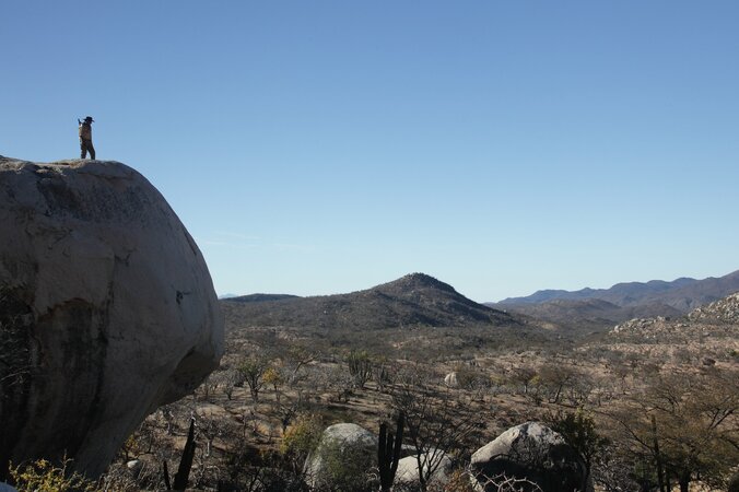 『ゼログラ』アルフォンソ・キュアロン監督、息子とコラボの最新作に自信 6枚目