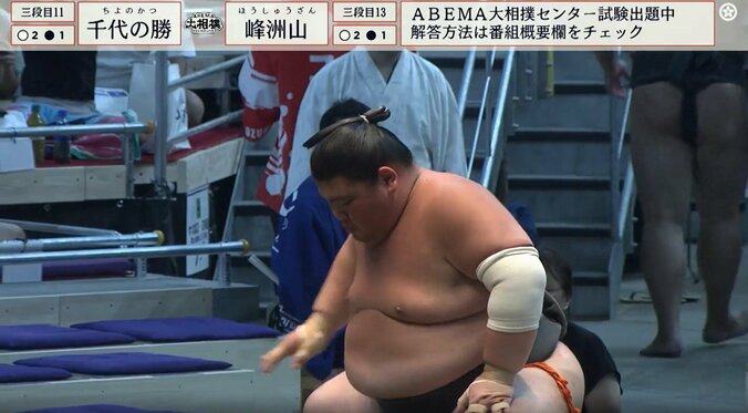 勝ち名乗りを受けた三段目十三枚目・峰洲山（鳴戸）が