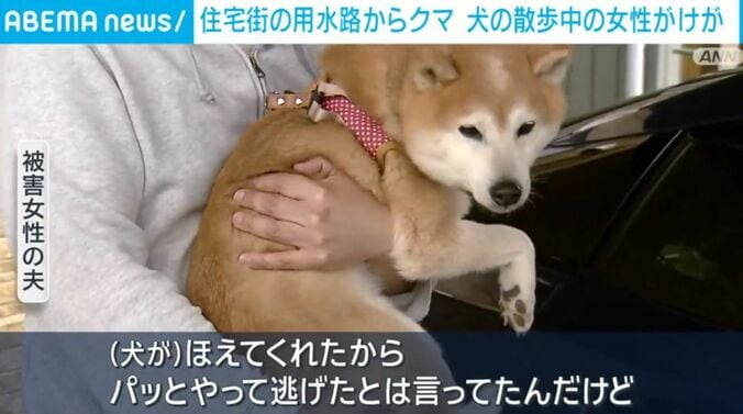 被害女性の夫と犬
