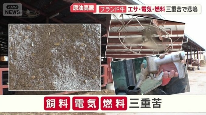 飼料代・電気料金・燃料代の三重苦