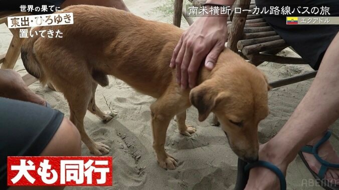 【写真・画像】東出昌大、南米の野良犬との触れ合いが話題に「狂犬病気をつけて」心配するファンに説明も　2枚目