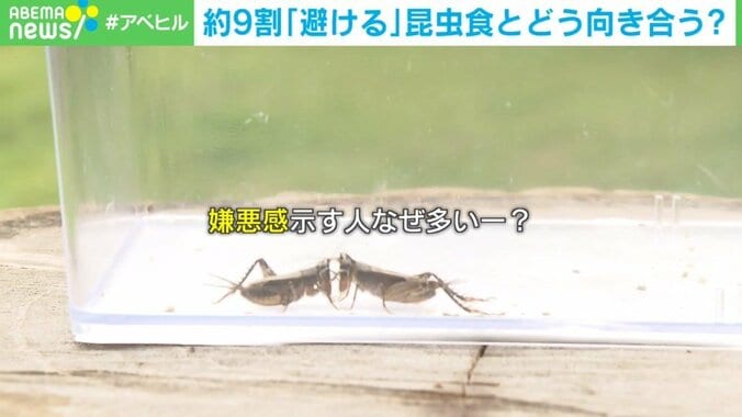 約9割が「昆虫食」に抵抗感 専門家は「特に驚きはない」 必要なのは酒やたばこのような「嗜好品」としての認知？ 2枚目