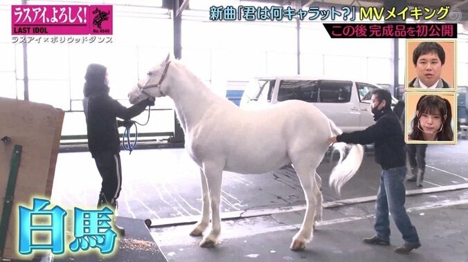 ド派手なデコトラ5台に白馬も！ラスアイ最新曲MVが豪華すぎて霜降り・粗品も驚き「お金かかってる」 5枚目