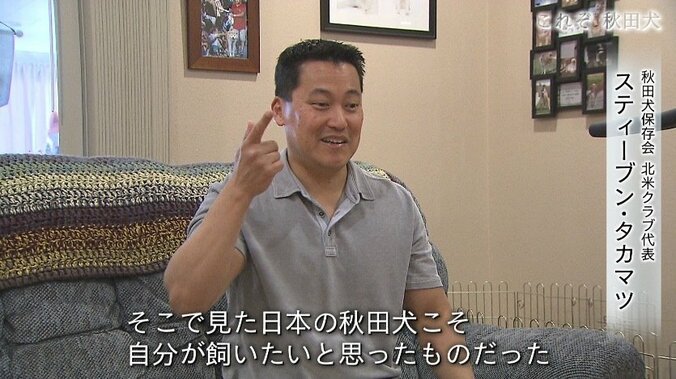 今や発祥の地に暮らすのはわずか30頭…プーチン大統領に贈られた「ゆめ」を育て上げた秋田犬ブリーダーの奮闘 8枚目