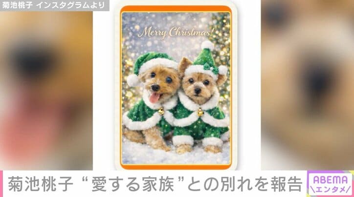 ペリちゃんとQちゃん