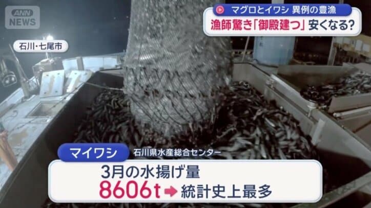 3月の水揚げ量は統計開始以来最多