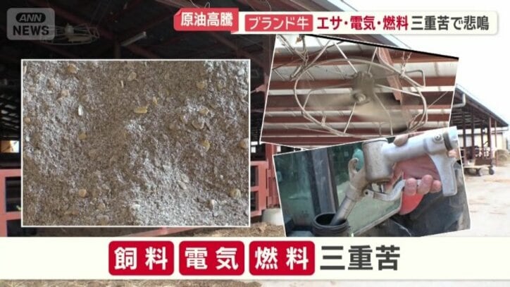 飼料代・電気料金・燃料代の三重苦